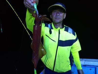 マイカ(ケンサキイカ)