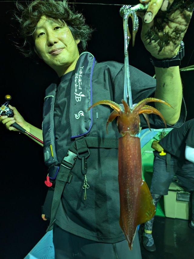 イカ(ヤリイカ)