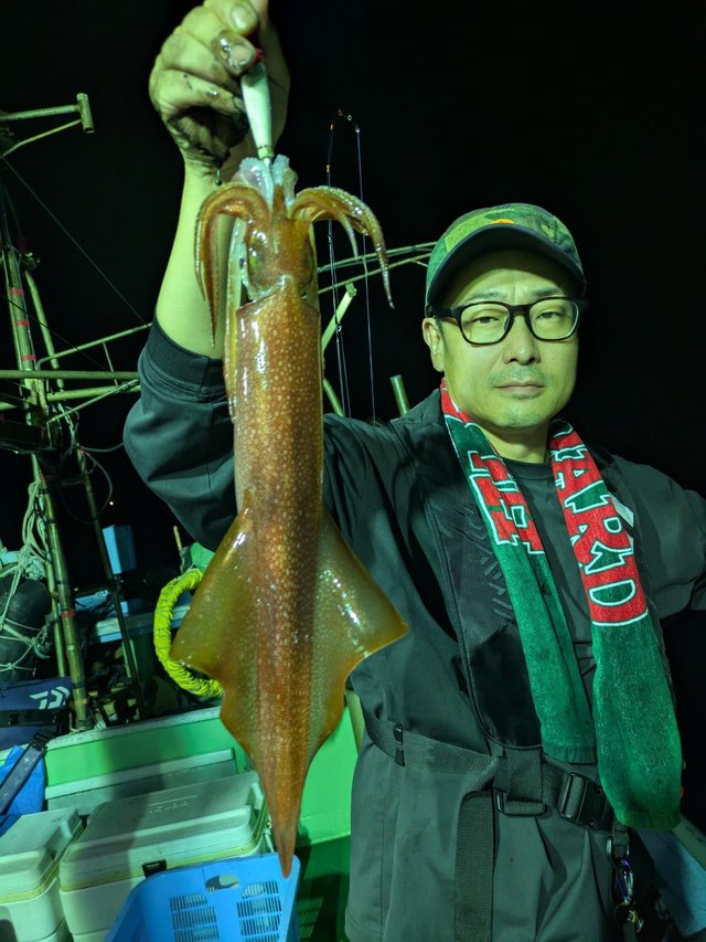 イカ(ヤリイカ)