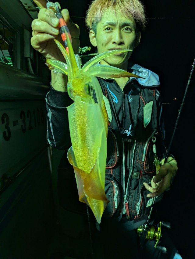 イカ(ヤリイカ)