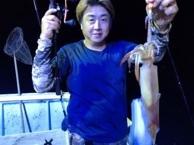 マイカ(ケンサキイカ)