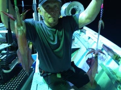 マイカ(ケンサキイカ)