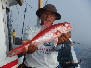 オナガダイ(ハマダイ)