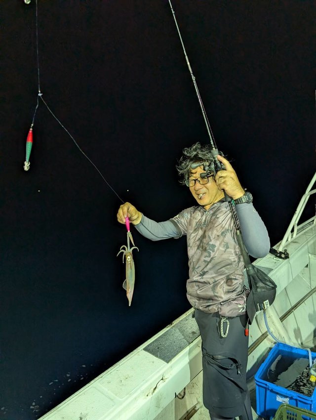 イカ(ケンサキイカ)