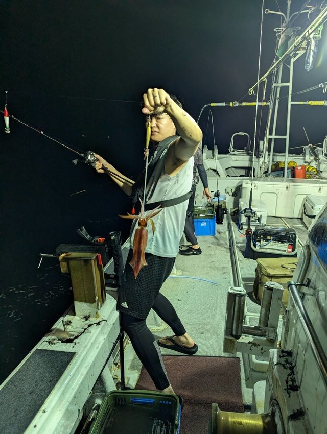 イカ(ケンサキイカ)