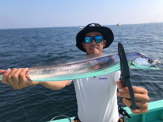 タチ(タチウオ)