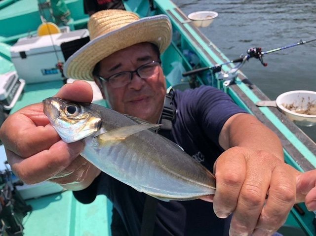 タチ(タチウオ)