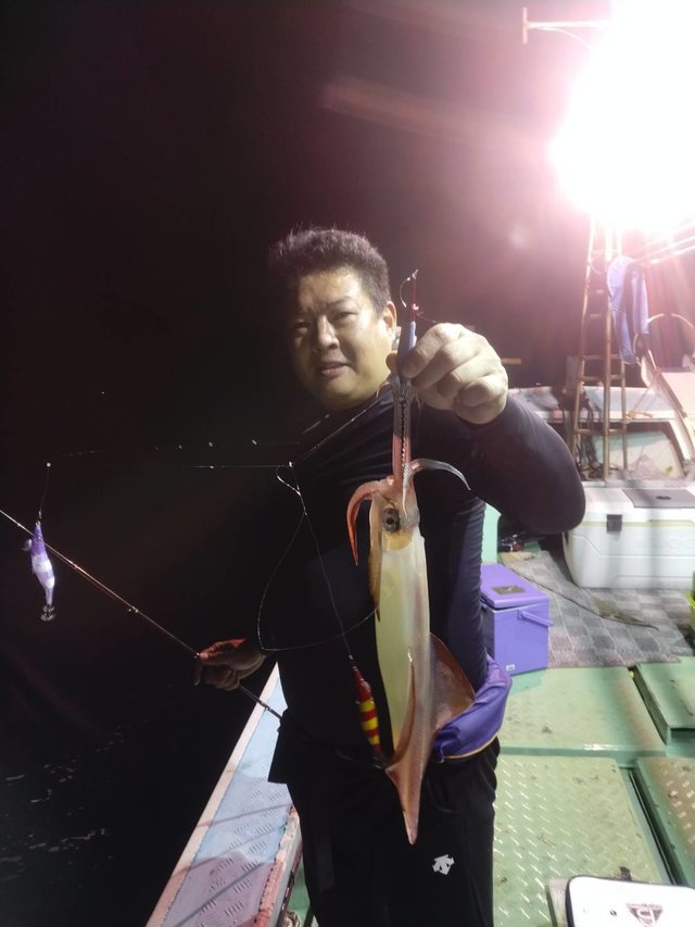 イカ(ケンサキイカ)