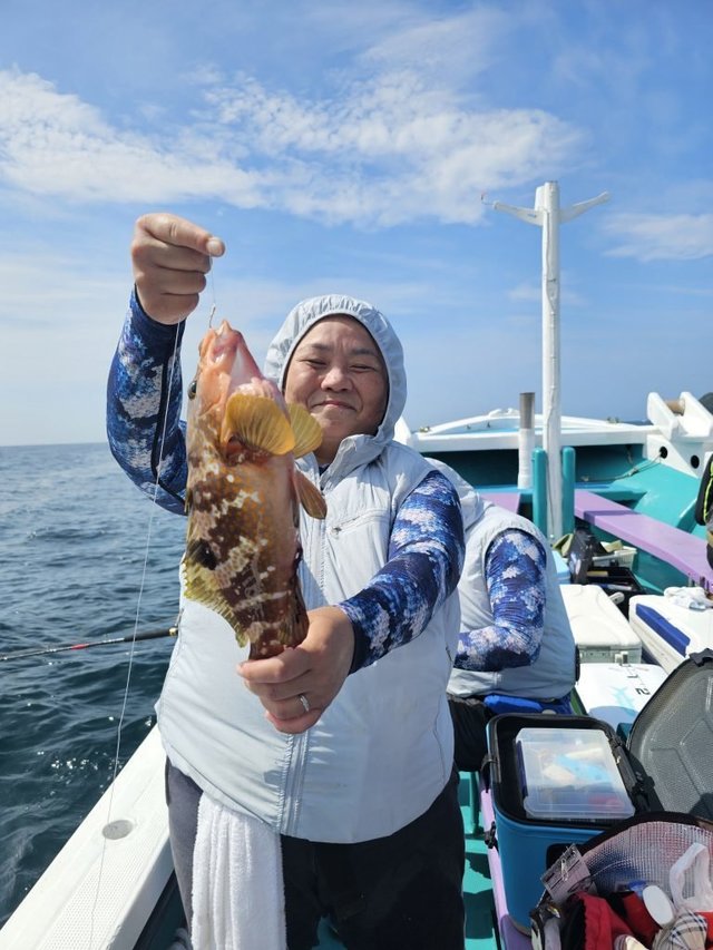 アコウ(キジハタ)