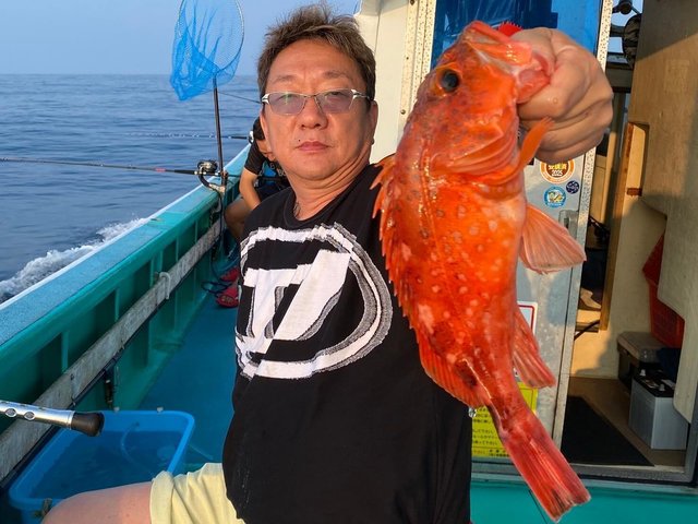 カンコ(ウッカリカサゴ)