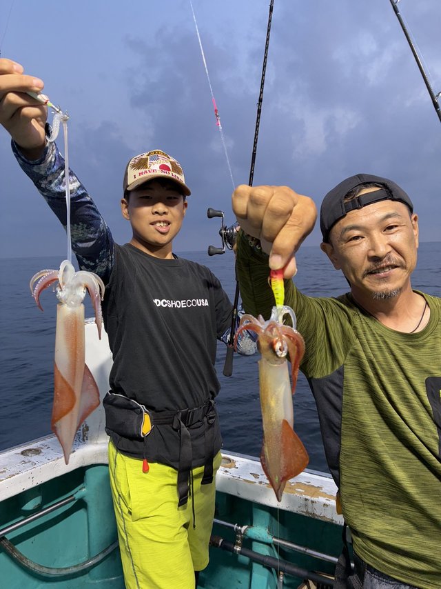 アカイカ(ケンサキイカ)