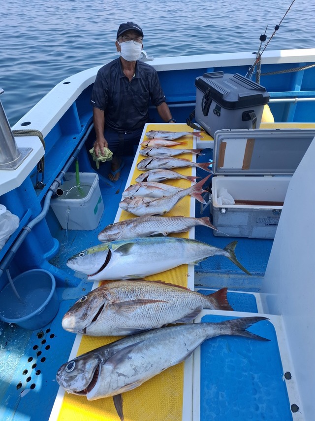 マダイ・ワラサ(ブリ)・メダイ