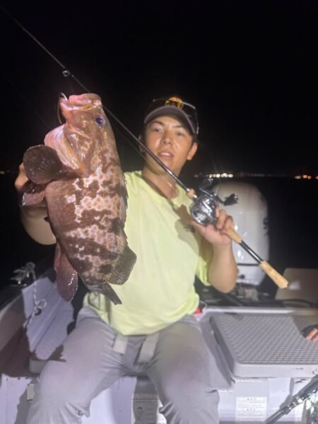 アコウ(キジハタ)