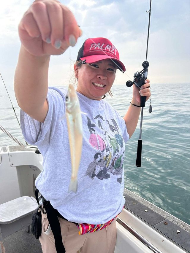 キス(シロギス)