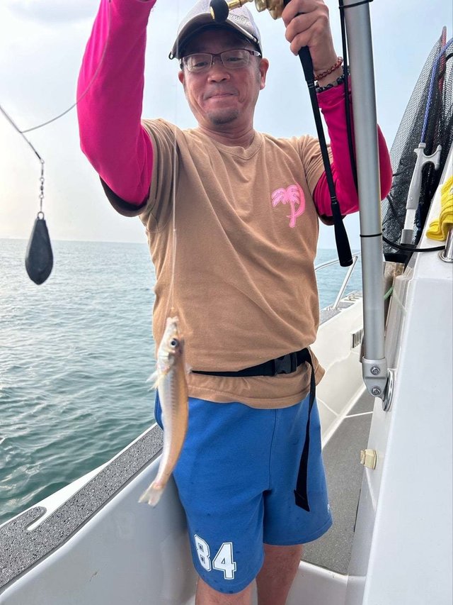 キス(シロギス)