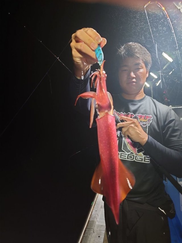 シロイカ(ケンサキイカ)