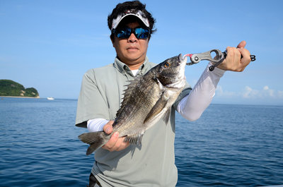 チヌ(クロダイ)