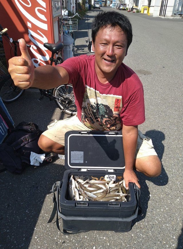 キス(シロギス)