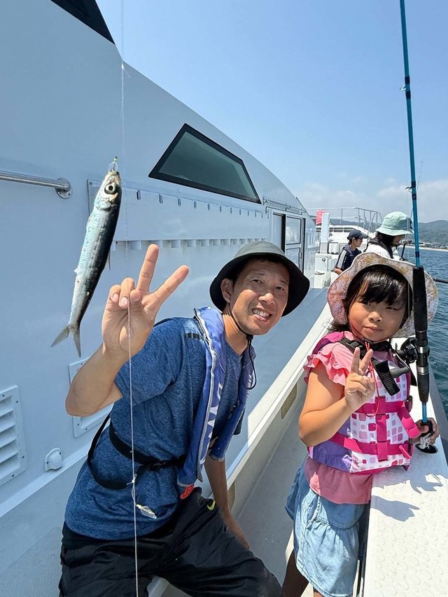 イワシ(カタクチイワシ)