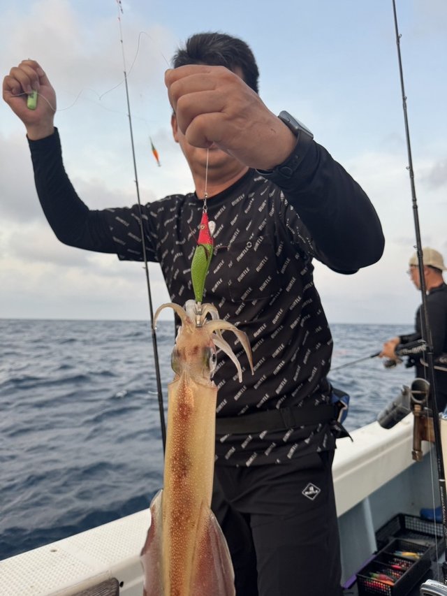 シロイカ(ケンサキイカ)