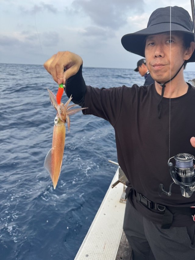 シロイカ(ケンサキイカ)