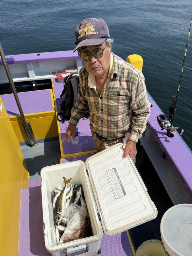 マダイ・アジ(マアジ)