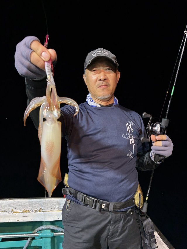 アカイカ(ケンサキイカ)