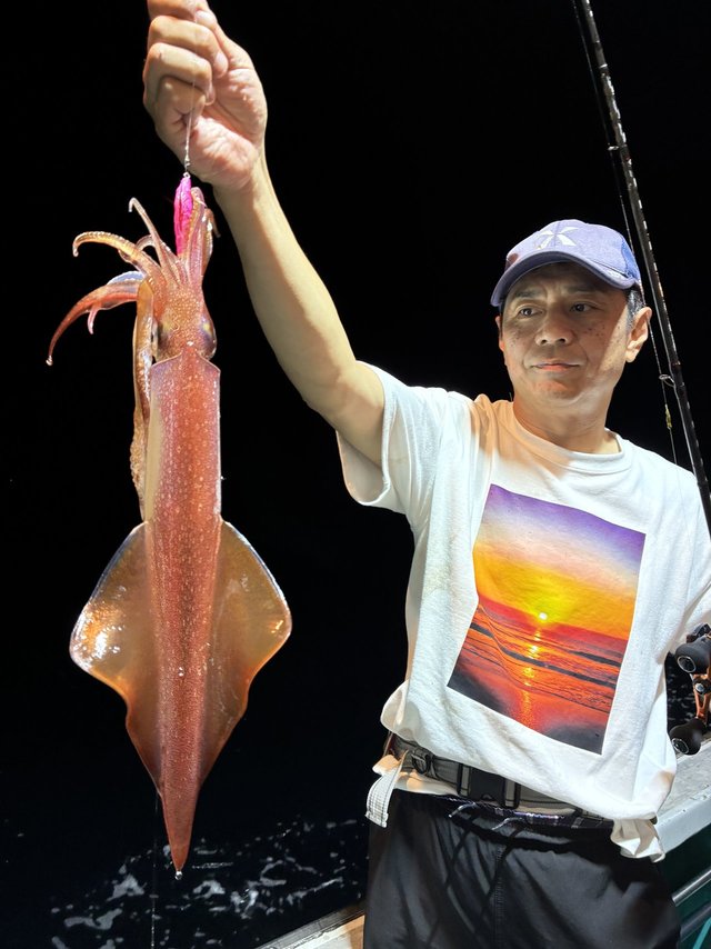 アカイカ(ケンサキイカ)