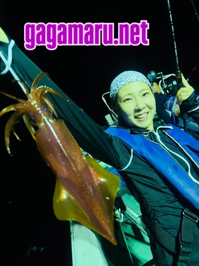 イカ(ケンサキイカ)