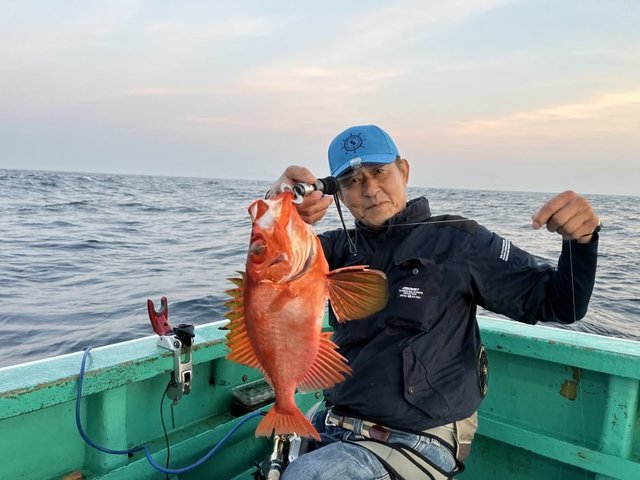 キントキ(チカメキントキ)