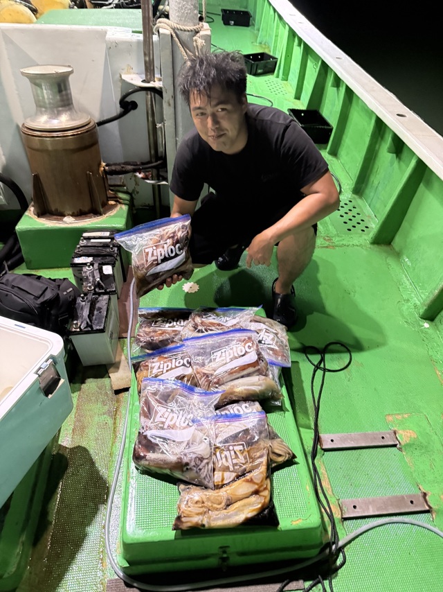 アカイカ(ケンサキイカ)・スルメイカ