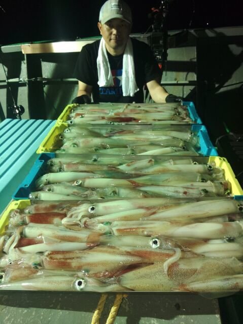 イカ(ヤリイカ)