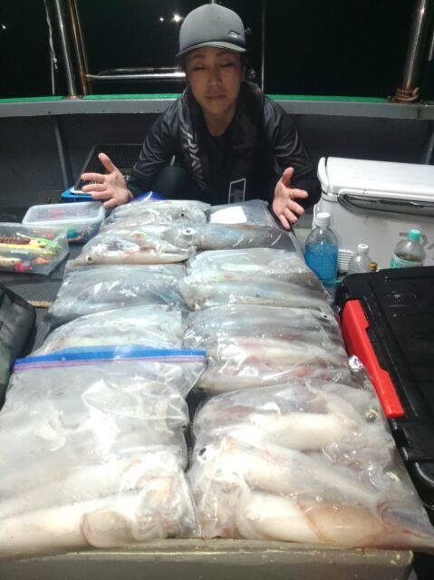 イカ(ヤリイカ)