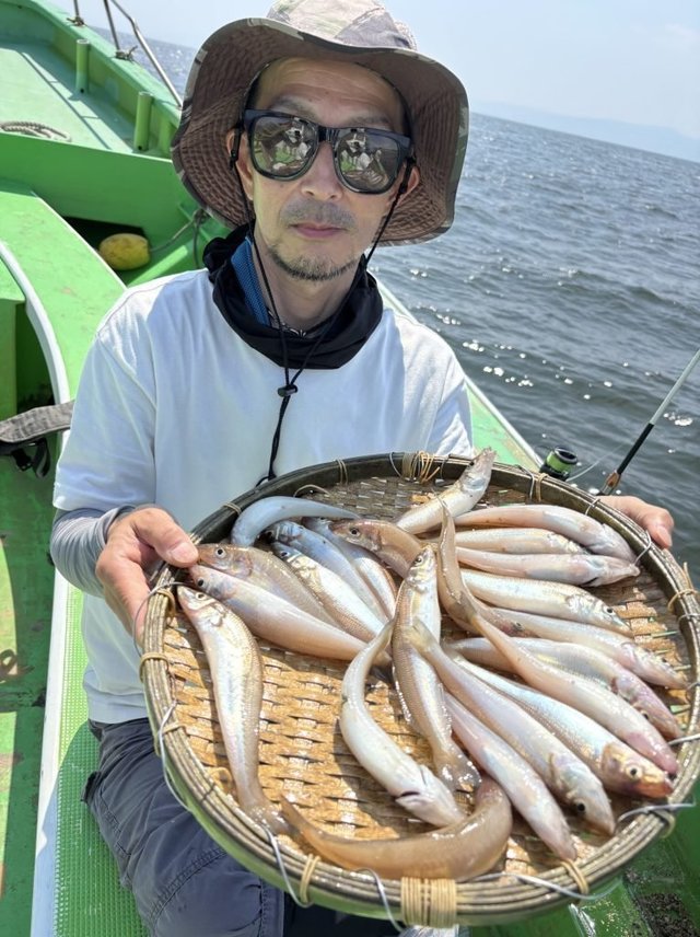 キス(シロギス)