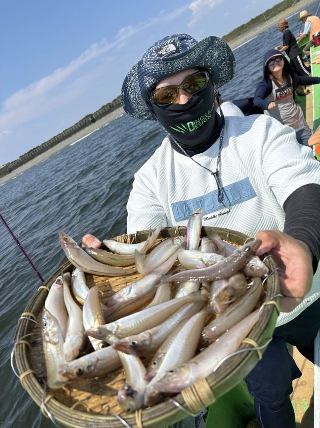 キス(シロギス)