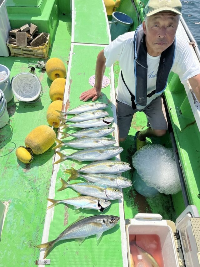 アジ(マアジ)・イナダ(ブリ)