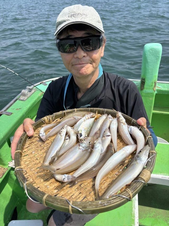 キス(シロギス)