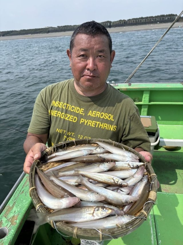 キス(シロギス)