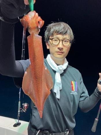 マイカ(ケンサキイカ)