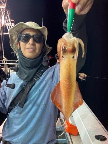 マイカ(ケンサキイカ)