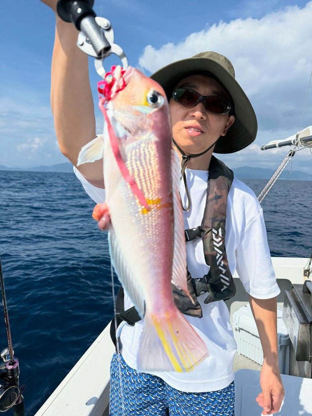 アマダイ(アカアマダイ)