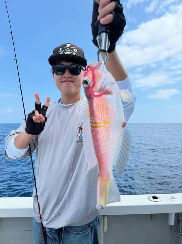 アマダイ(アカアマダイ)