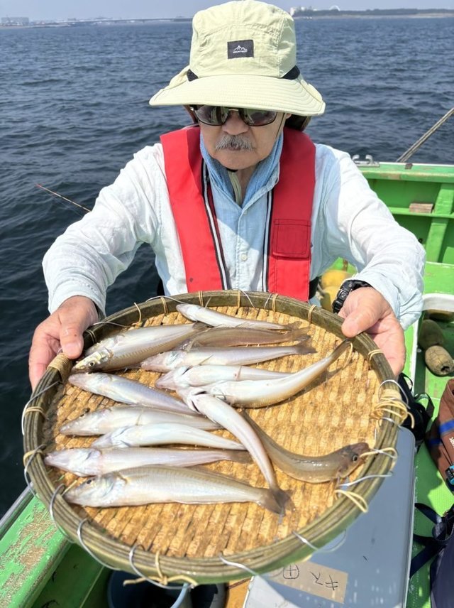 キス(シロギス)