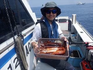 スルメ(スルメイカ)