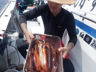 スルメ(スルメイカ)