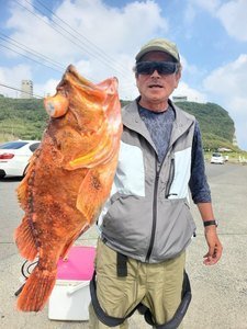 カンコ(ウッカリカサゴ)