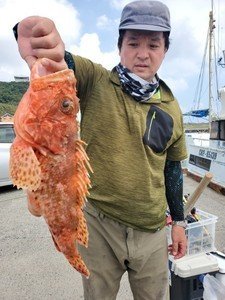 カンコ(ウッカリカサゴ)