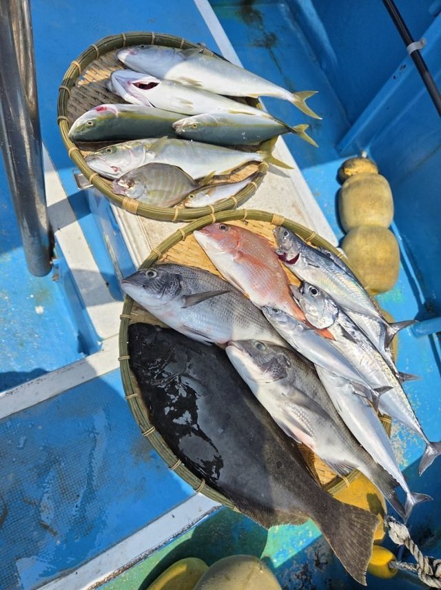 マダイ・ハナダイ(チダイ)・クロダイ・メジナ・アジ(マアジ)・イナダ(ブリ)・ヒラメ・ウマヅラハギ