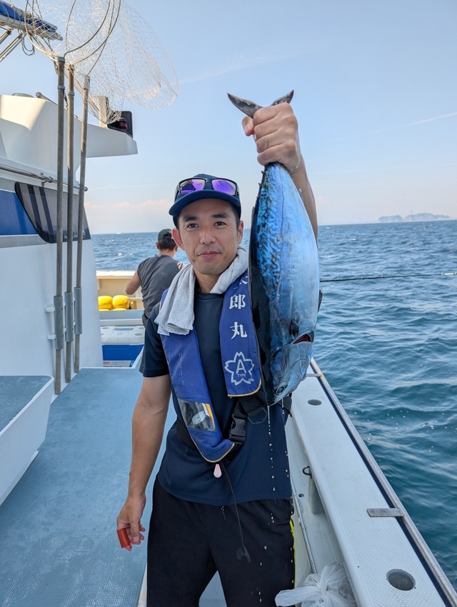 ソーダガツオ(ヒラソウダ)