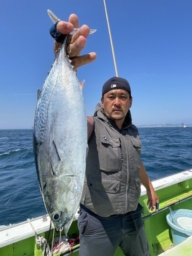 ヒラソーダ(ヒラソウダ)